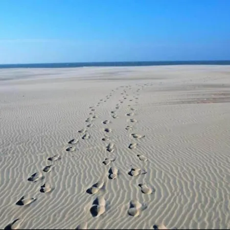 Lejlighed In Near The Nieuwpoort