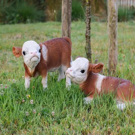 Lejlighed In Near The