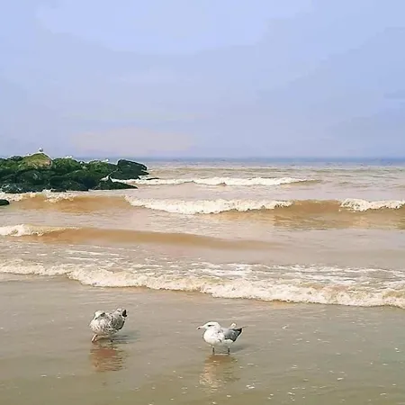 In Near The * Nieuwpoort