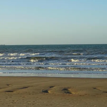 Lejlighed In Near The *