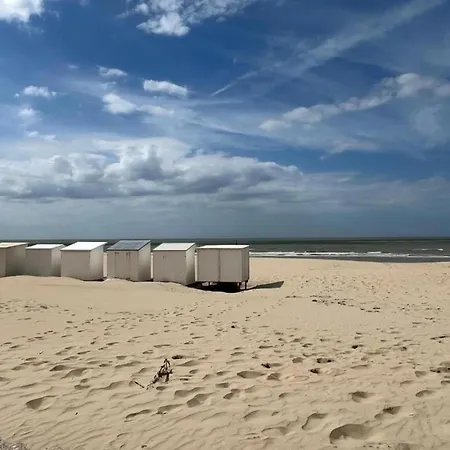 In Near The Lejlighed *