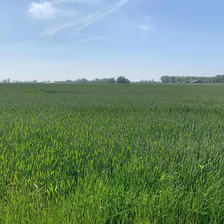 Lejlighed In Near The Nieuwpoort