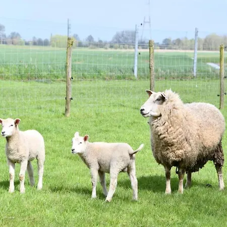 In Near The Apartamento Nieuwpoort